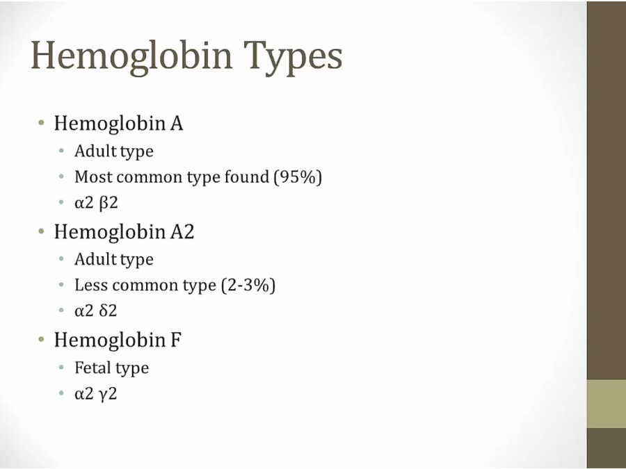 03 Hemoglobin - My Wiki