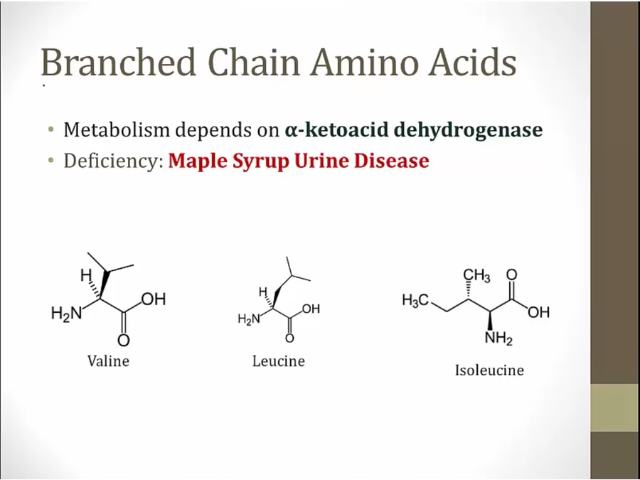 B Vitamins - My Wiki