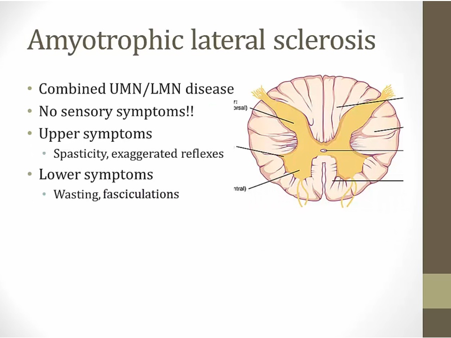 08 Spinal Cord Syndromes My Wiki