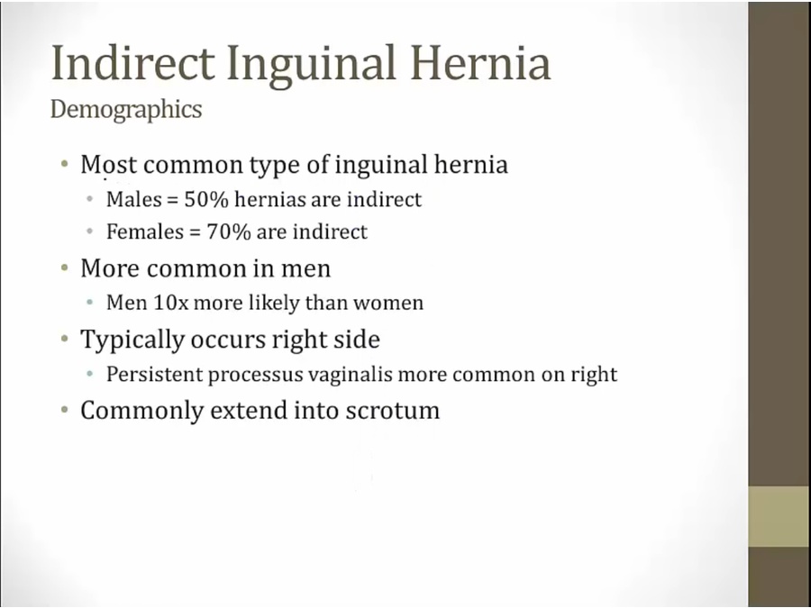 07 Hernia - My Wiki