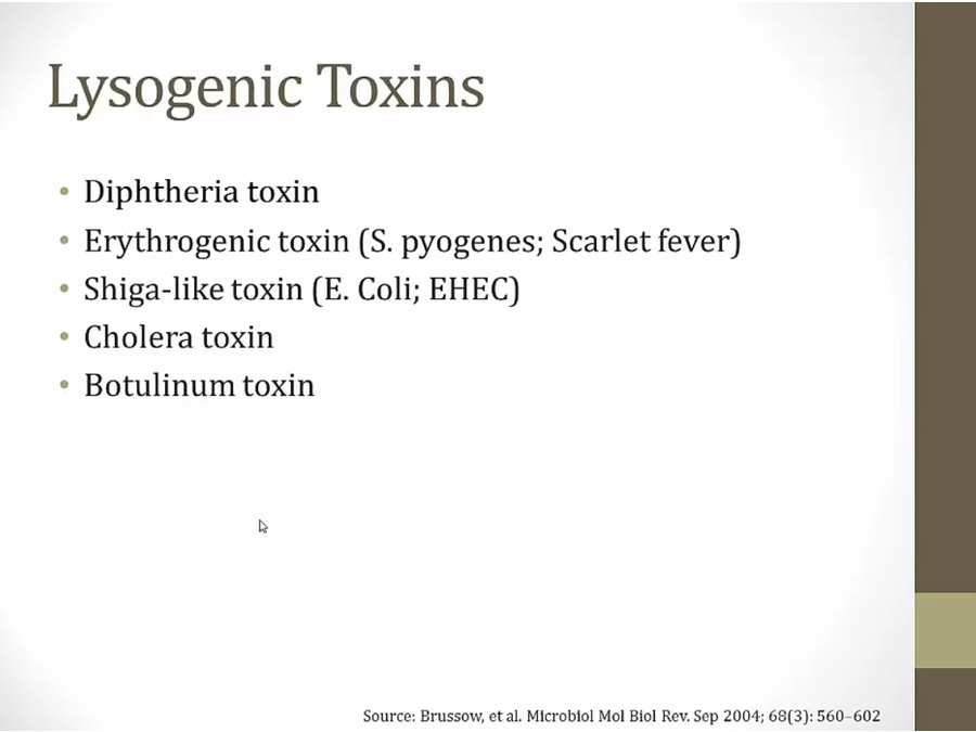 05 Bacterial Genetics - My Wiki