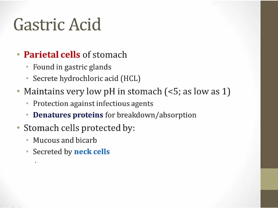 10 GI Secretion - My Wiki