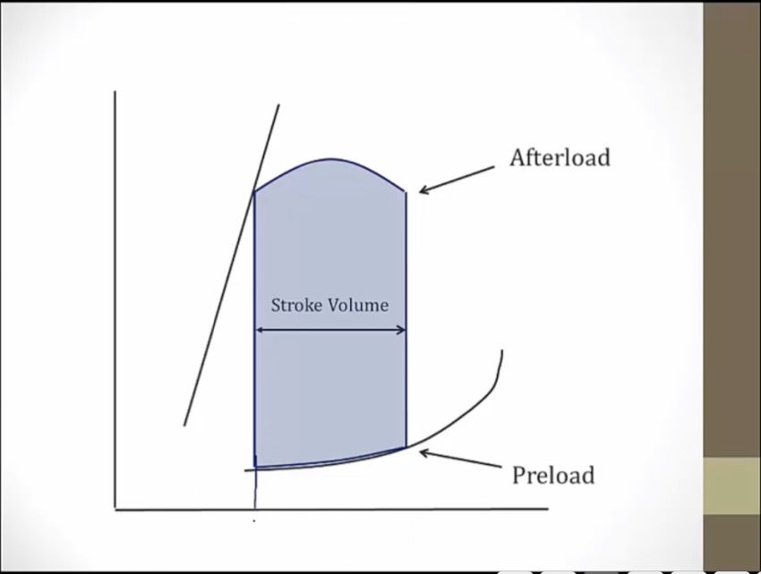 06-pv-loop-my-wiki