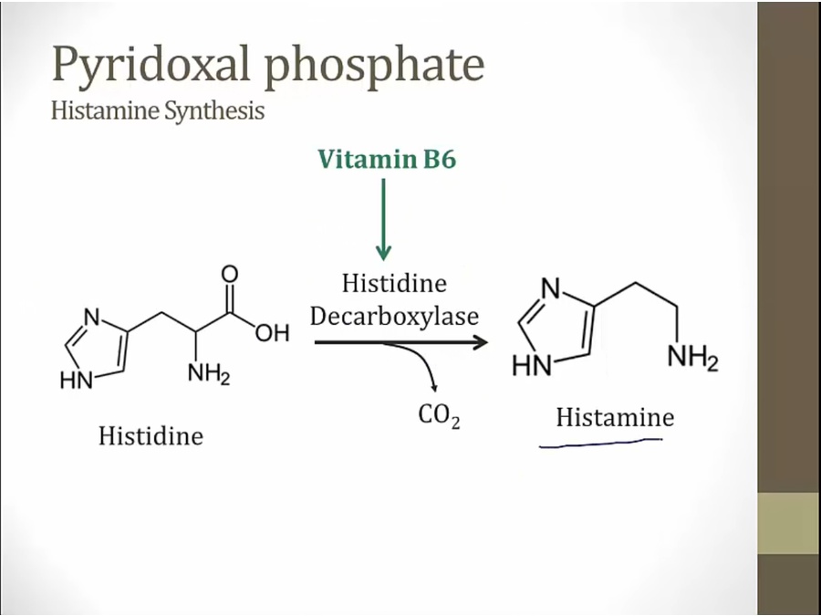 B Vitamins - My Wiki