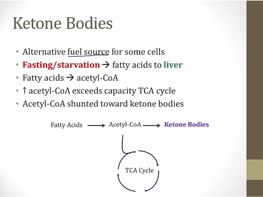 14 Ketones My Wiki   CCC9C507 86B3 4DBF 9912 208857CB85C6 