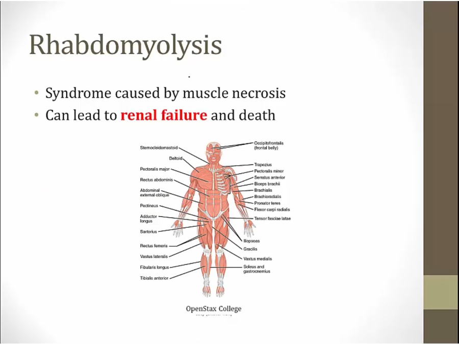 27 Rhabdomyolysis My Wiki   HdPWSEn 