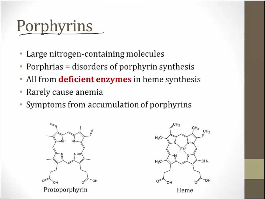 23 Porphyrias - My Wiki