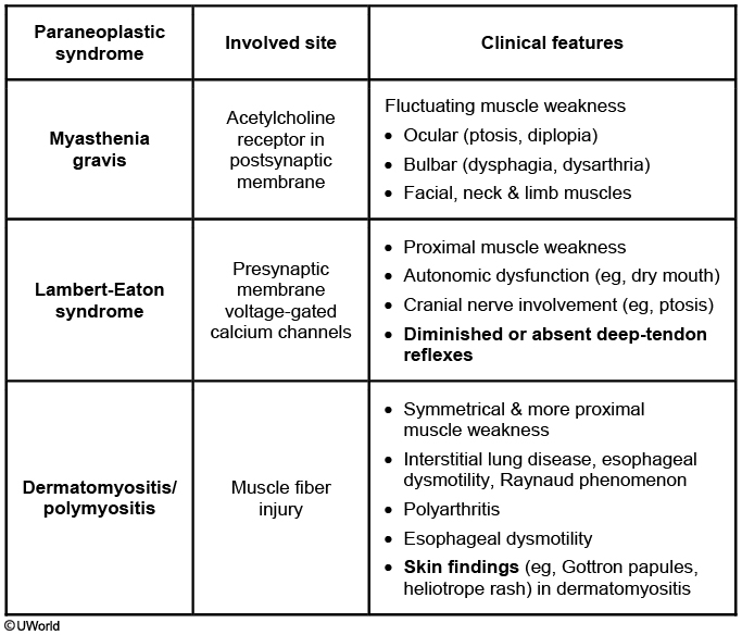 Neuromuscular - My Wiki