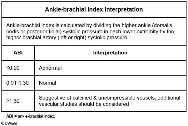 25 Vascular - My Wiki