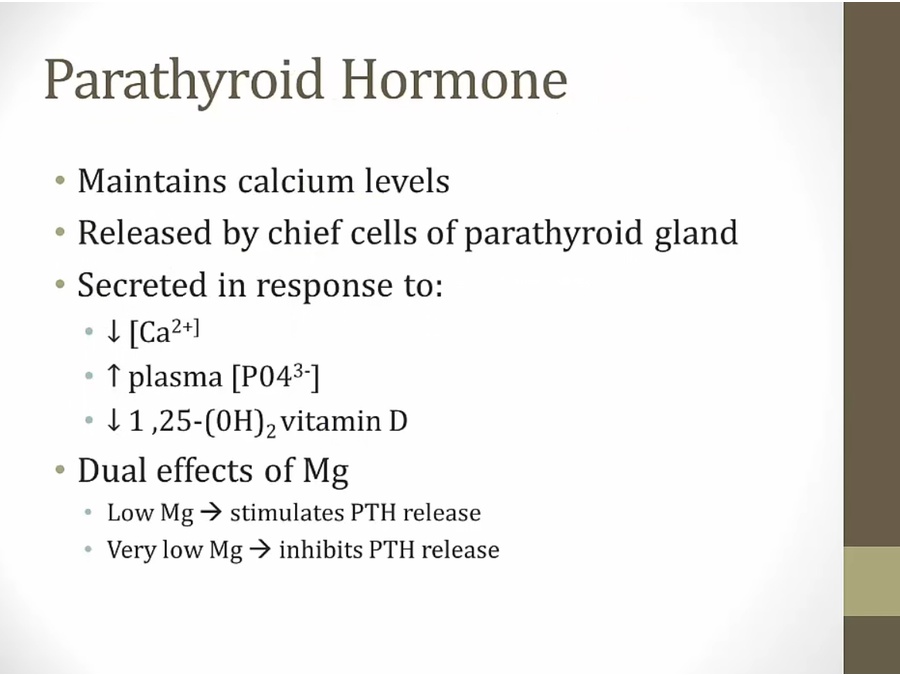 06 Renal Endocrine - My Wiki