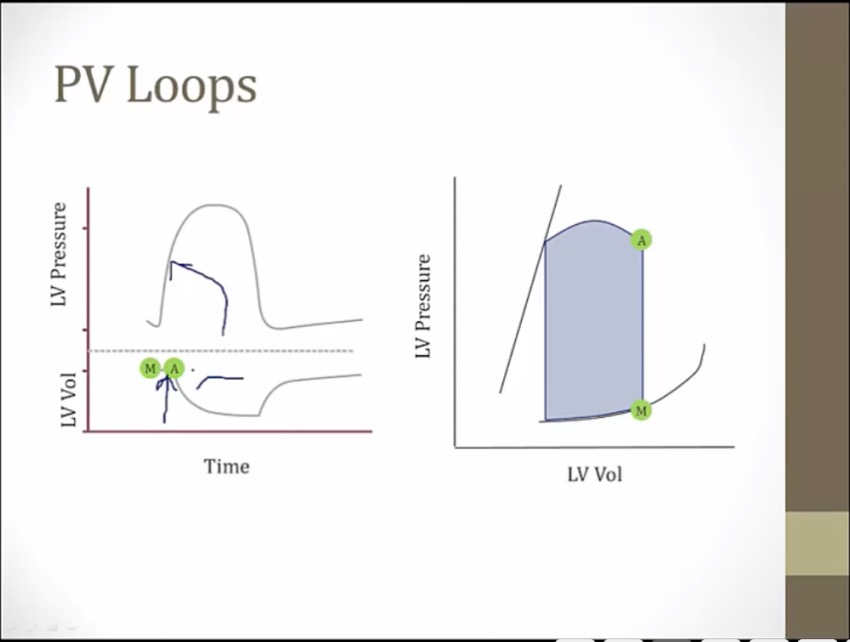 06-pv-loop-my-wiki