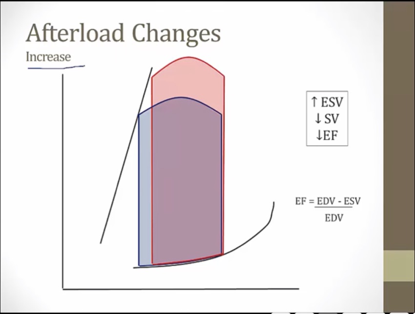 06-pv-loop-my-wiki