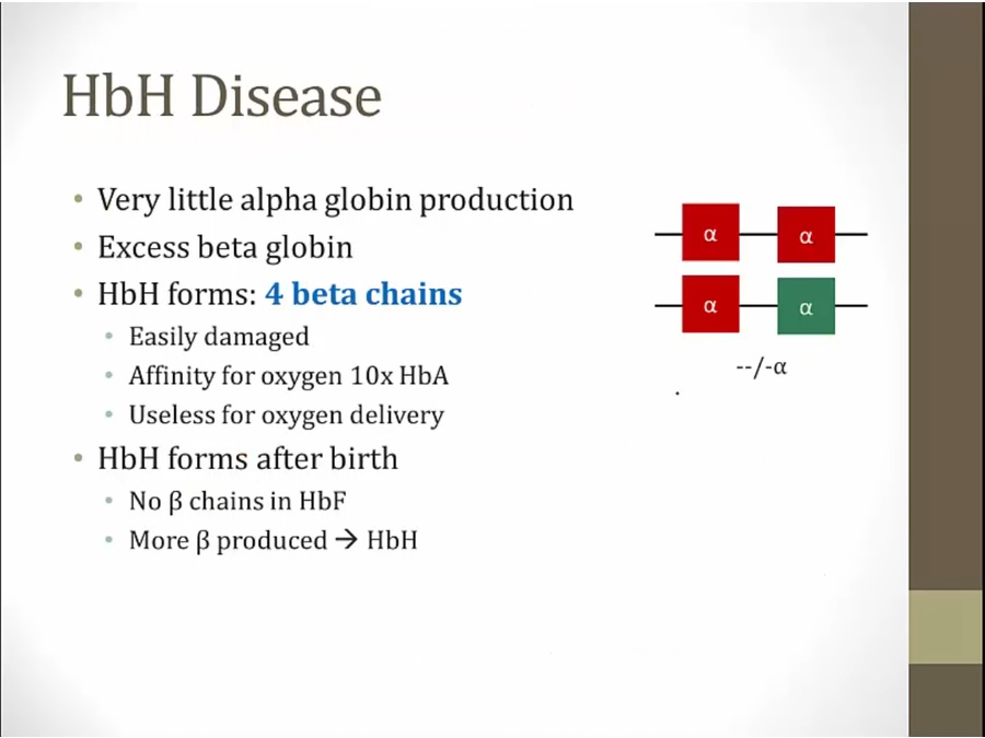 12 Thalassemia My Wiki   W3GFnUv 