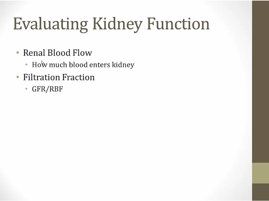03 Renal Physiology 1 My Wiki