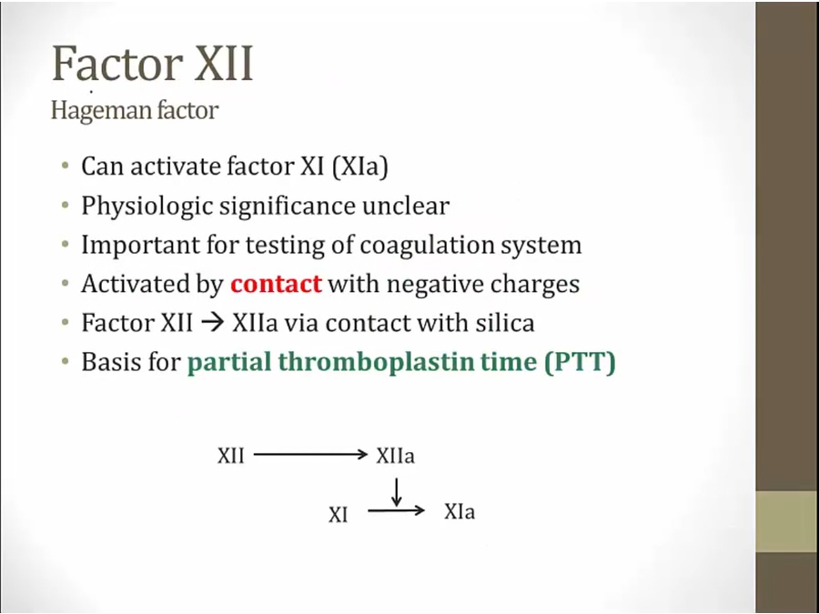 01 Coagulation My Wiki