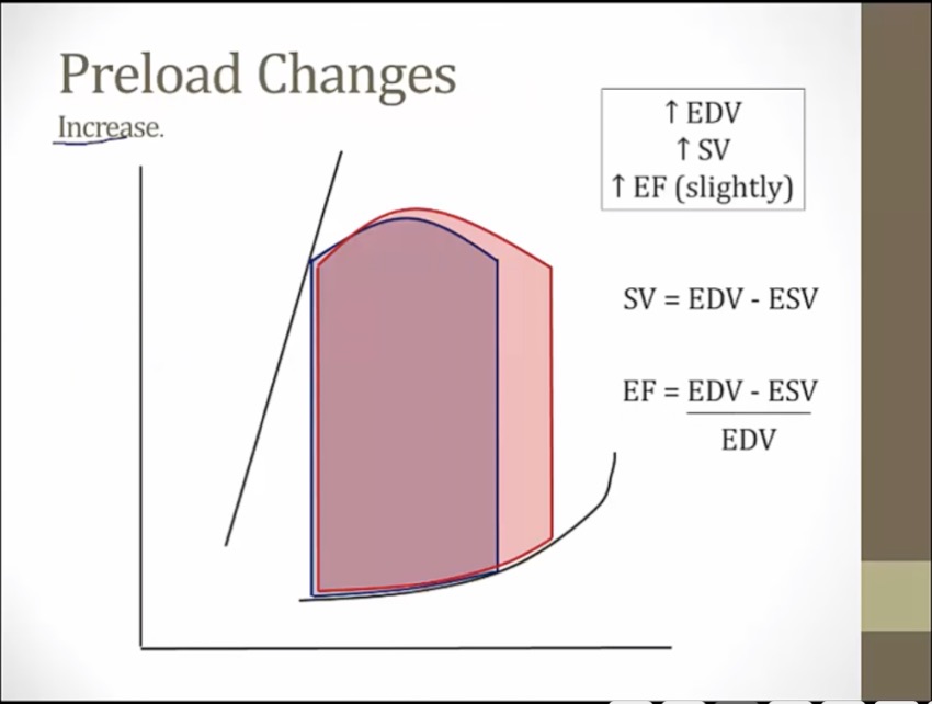 06-pv-loop-my-wiki