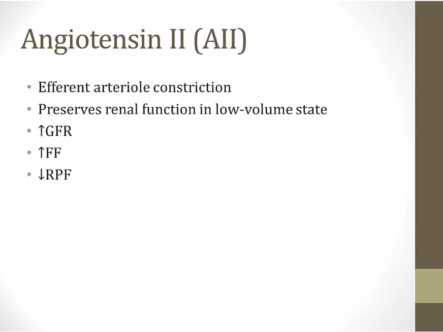 06 Renal Endocrine - My Wiki