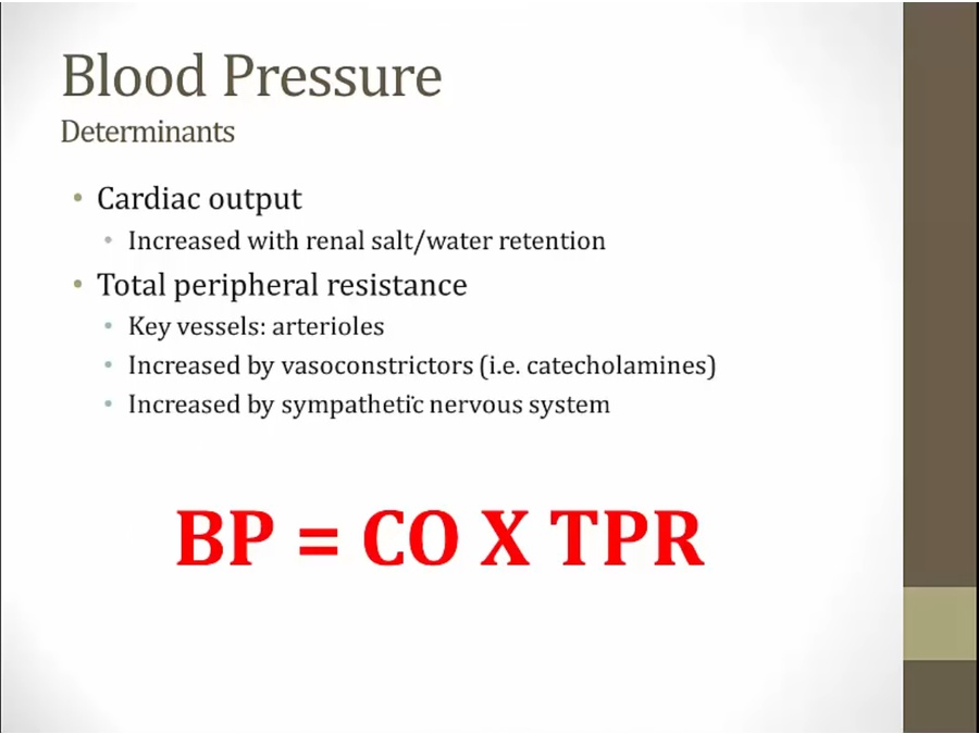 32 Hypertension - My Wiki