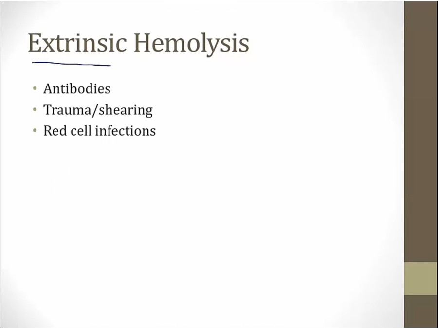 09 Extrinsic Hemolysis - My Wiki