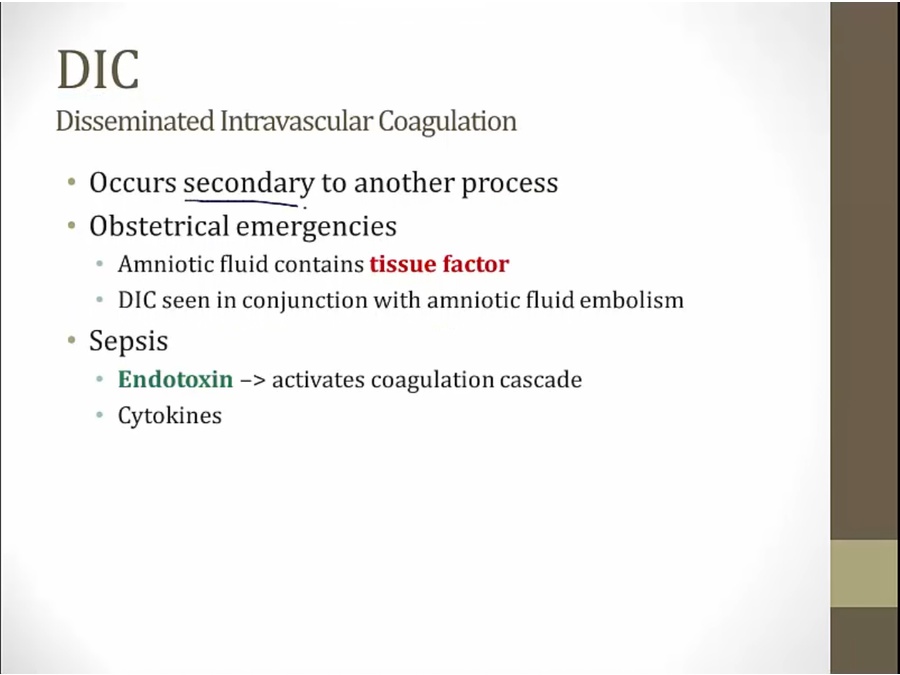 05 Platelet Disorders - My Wiki