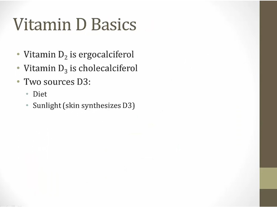 06 Renal Endocrine - My Wiki