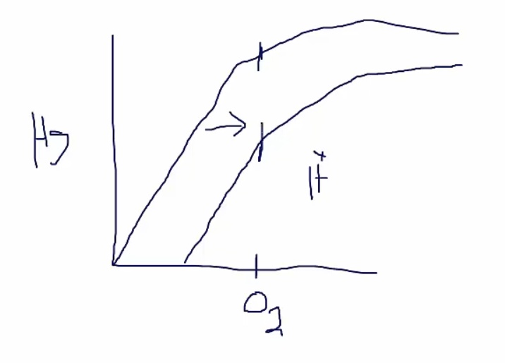 08 Acid Base Principles - My Wiki