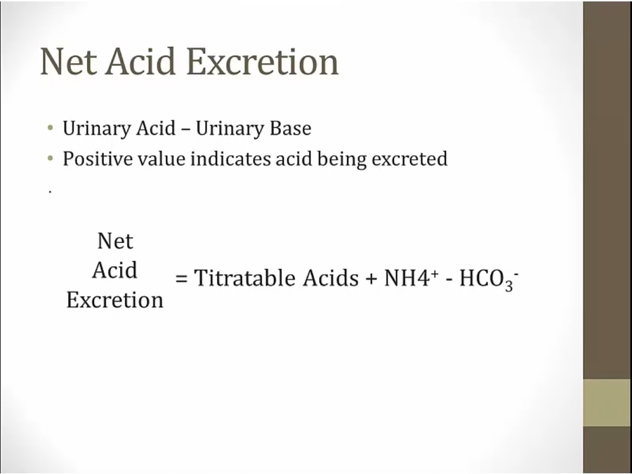 07 Acid Excretion - My Wiki