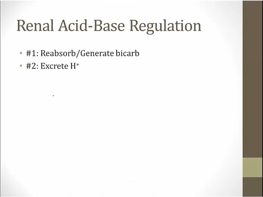 07 Acid Excretion - My Wiki