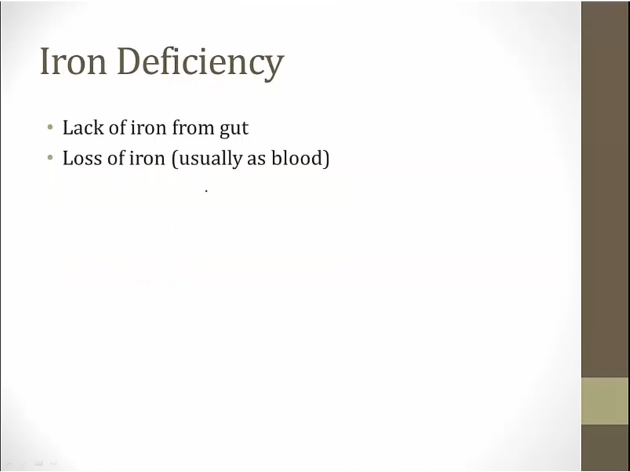 11 Microcytic Anemia My Wiki
