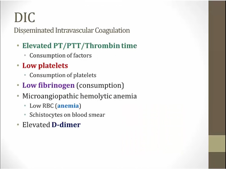 05 Platelet Disorders - My Wiki