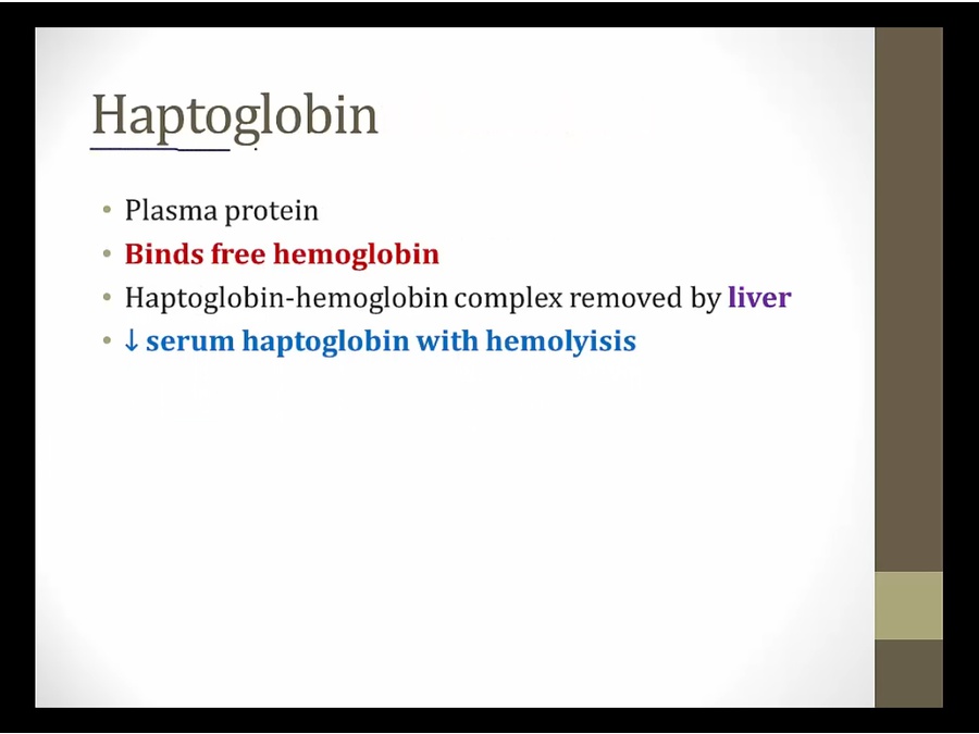 08 Hemolysis Basics - My Wiki