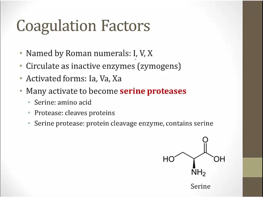 01 Coagulation - My Wiki