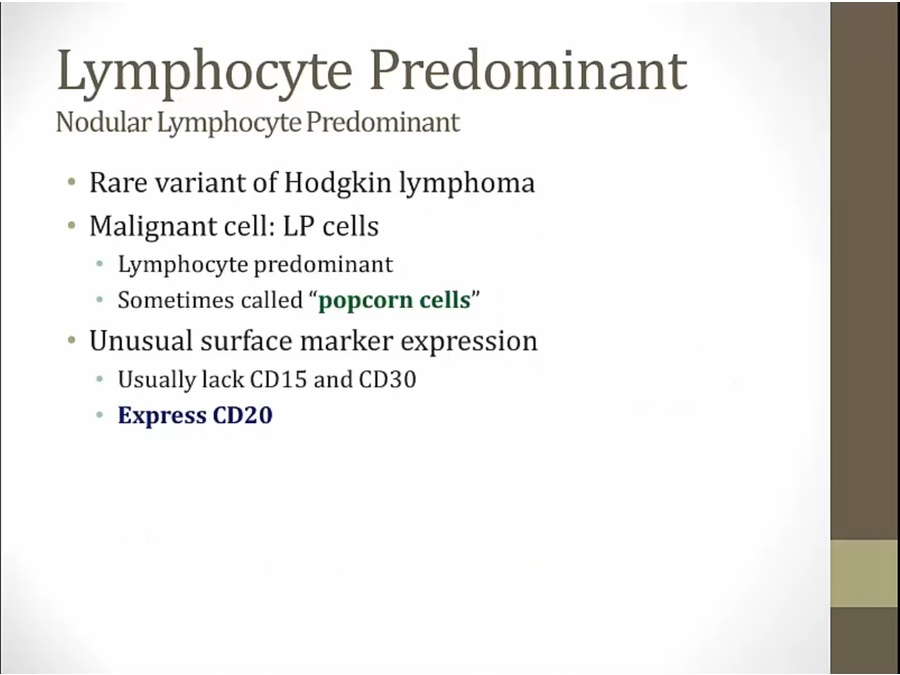 18 Hodgkin Lymphoma - My Wiki