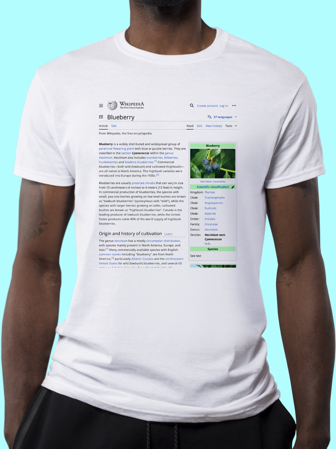 Blueberry Wikipedia Shirt