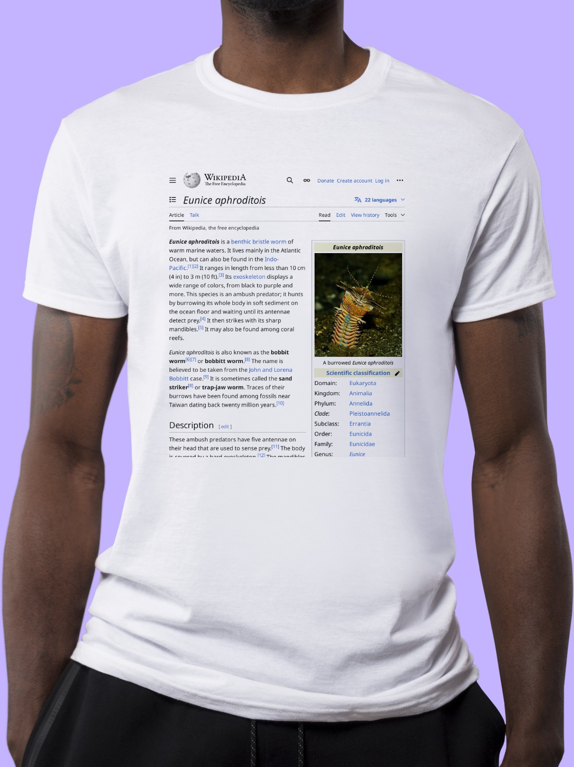 Eunice_aphroditois Wikipedia Shirt