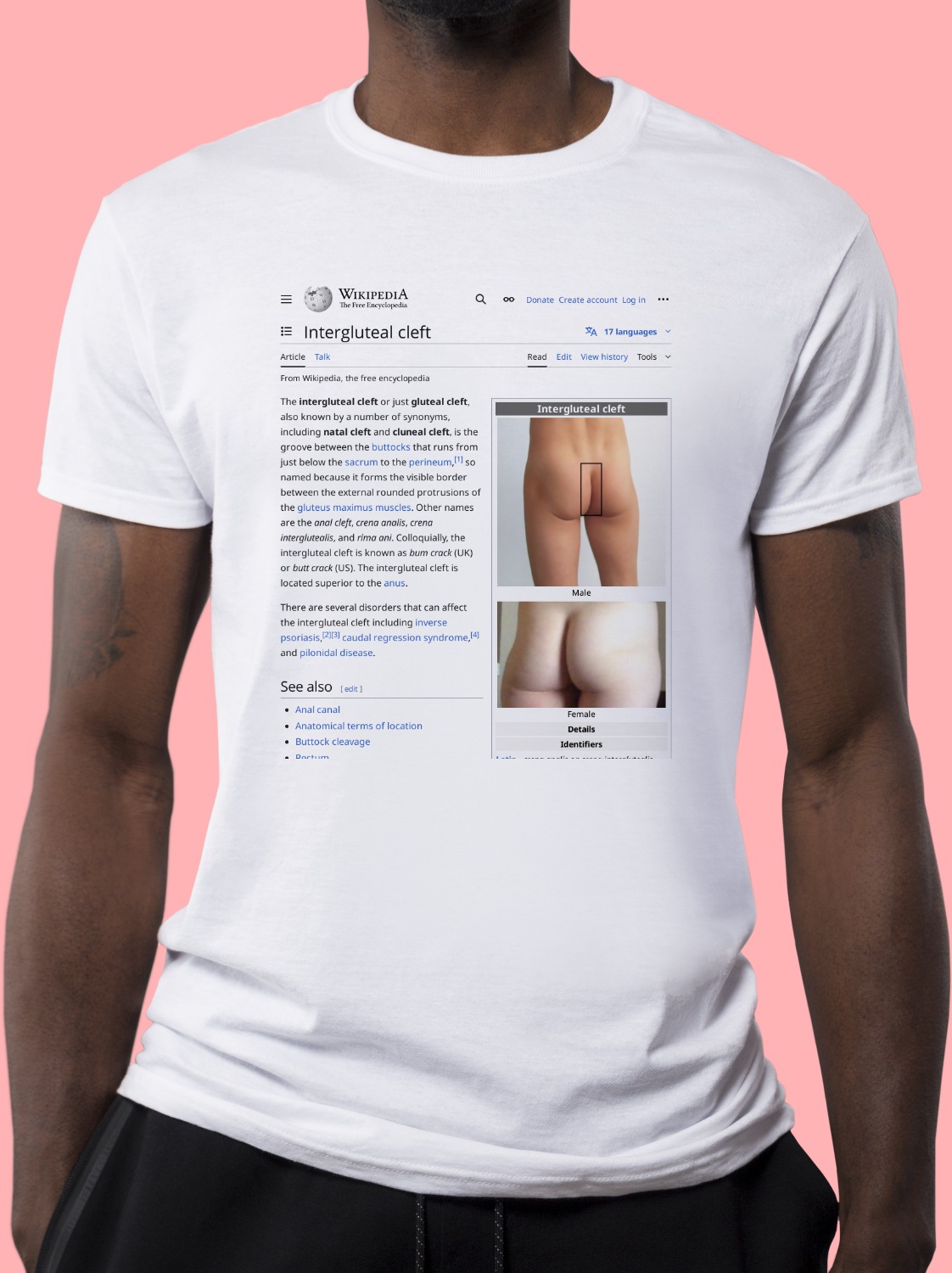 Intergluteal_cleft Wikipedia Shirt