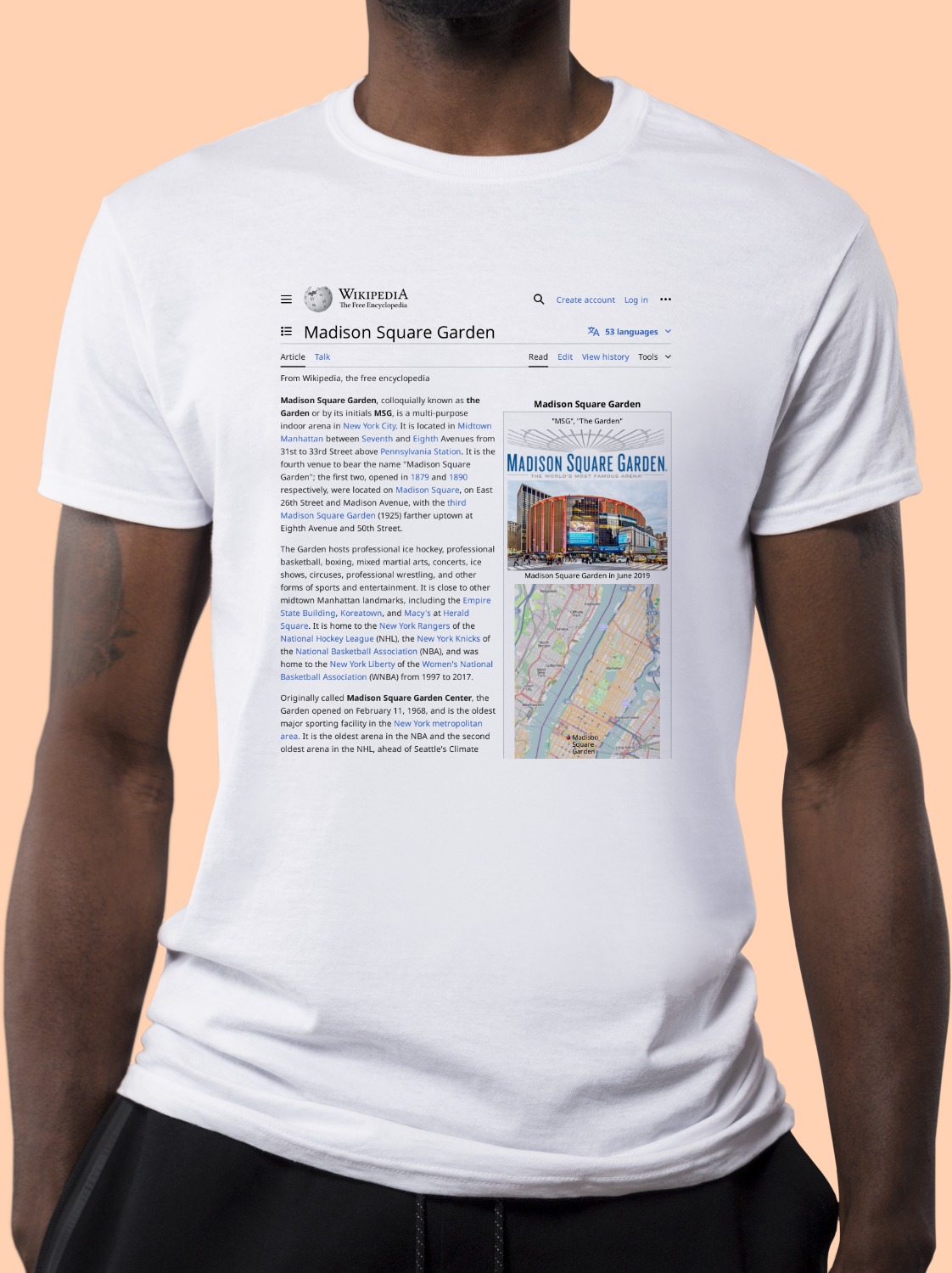 Madison Square Garden Wikipedia T-Shirt