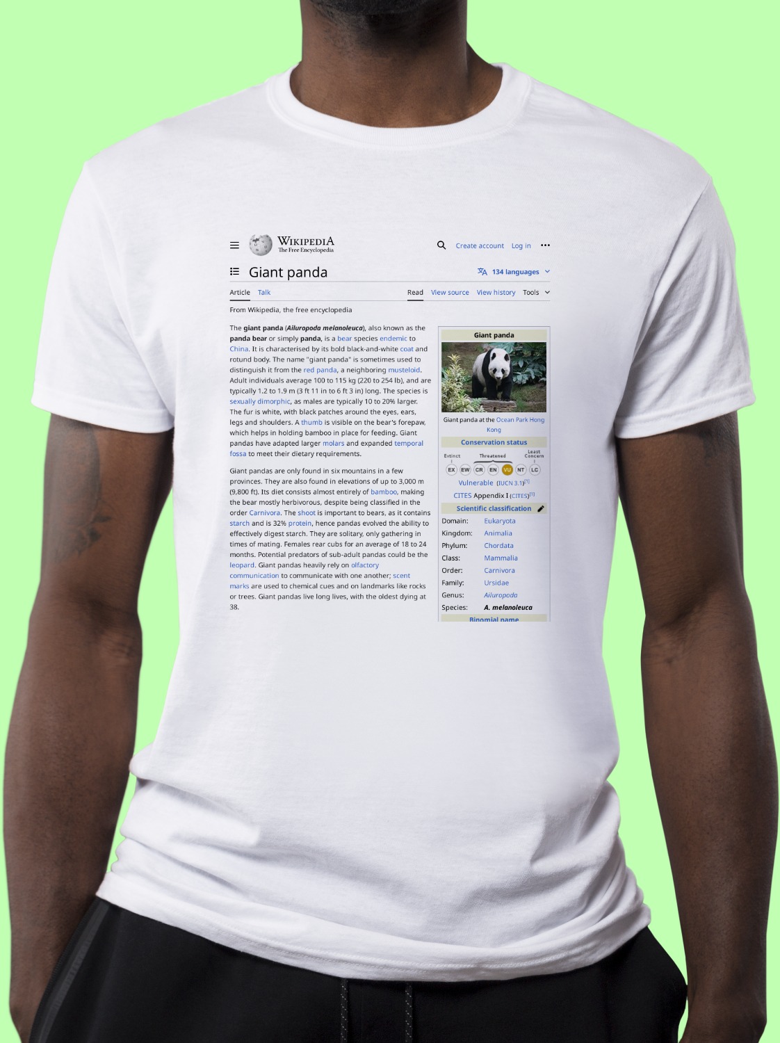 Panda Wikipedia Shirt