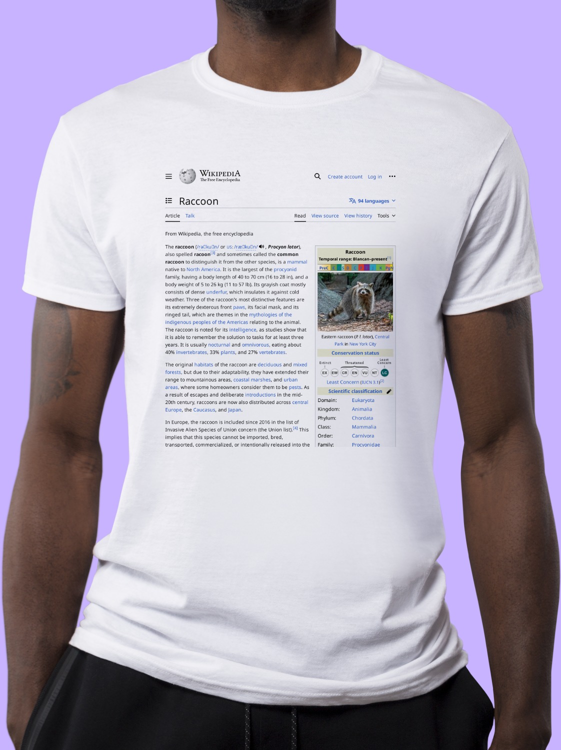 Raccoon Wikipedia Shirt